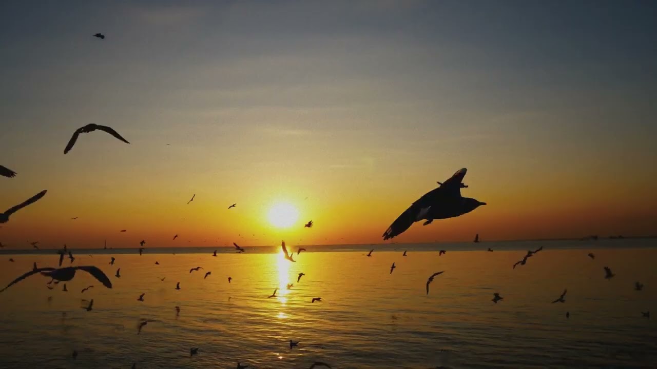 Night Verses - Slow Dose_Videoclipe_TMM2_David Soares