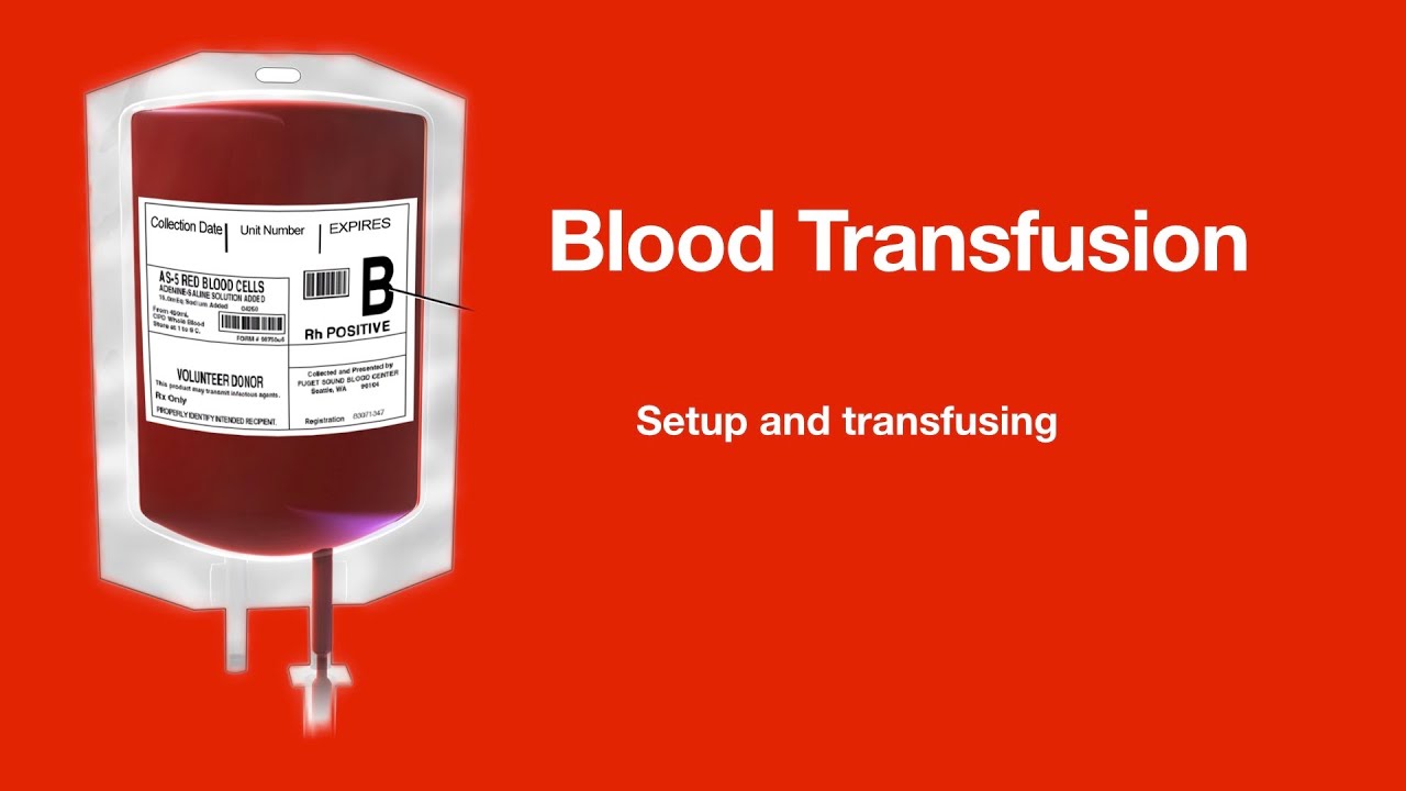 Blood transfusion: Setup and transfusion