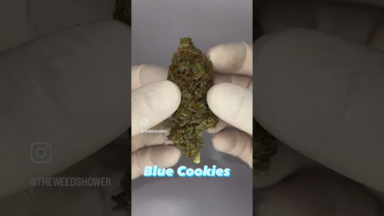 Blue Cookies