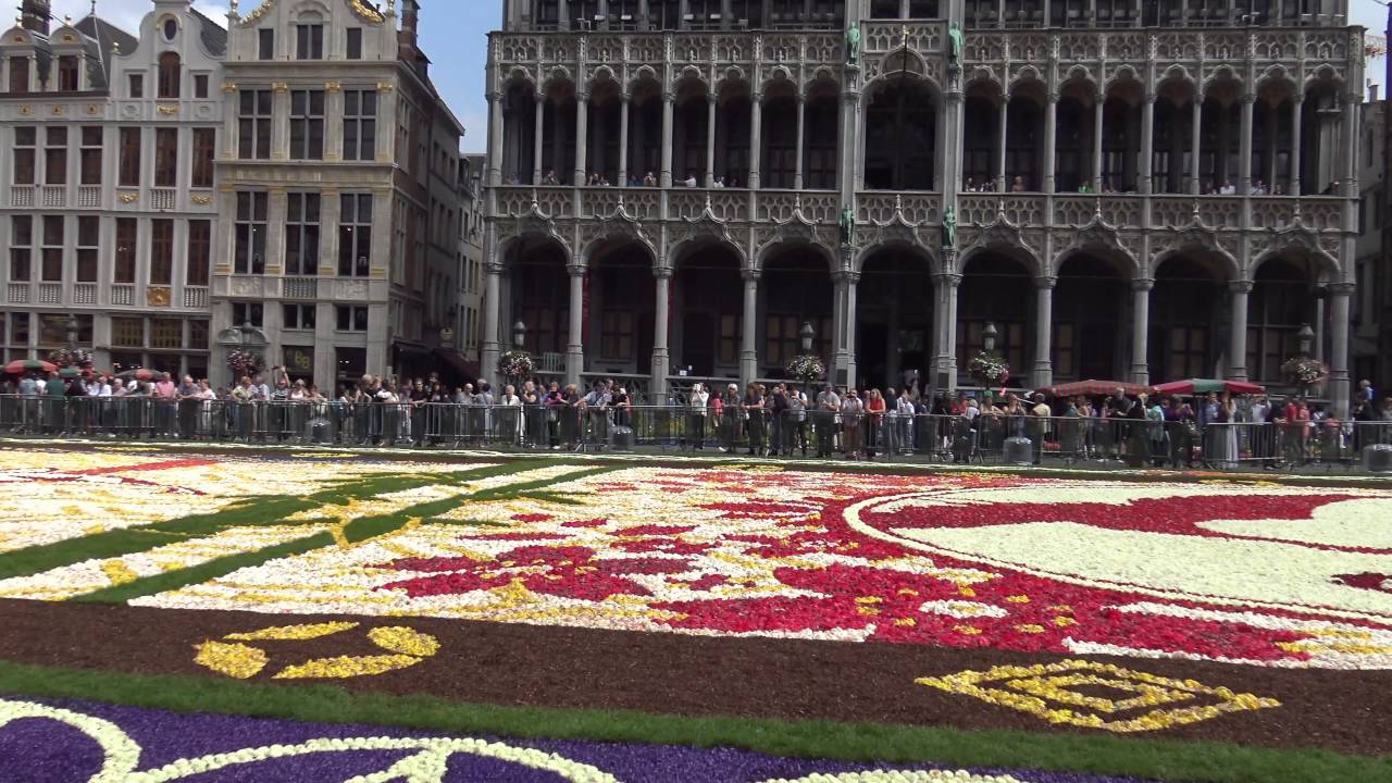Brussels, Belgium. Flower carpet on Grand'Place. 4K (UHD)