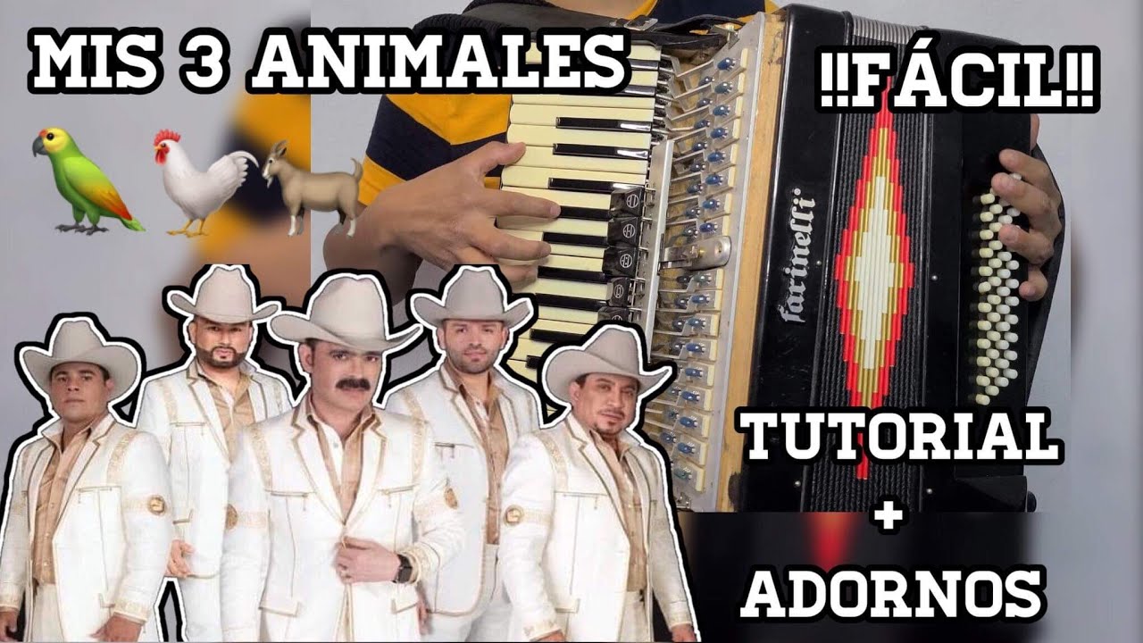 MIS 3 ANIMALES//TUCANES DE TIJUANA// TUTORIAL ACORDEON  TECLAS
