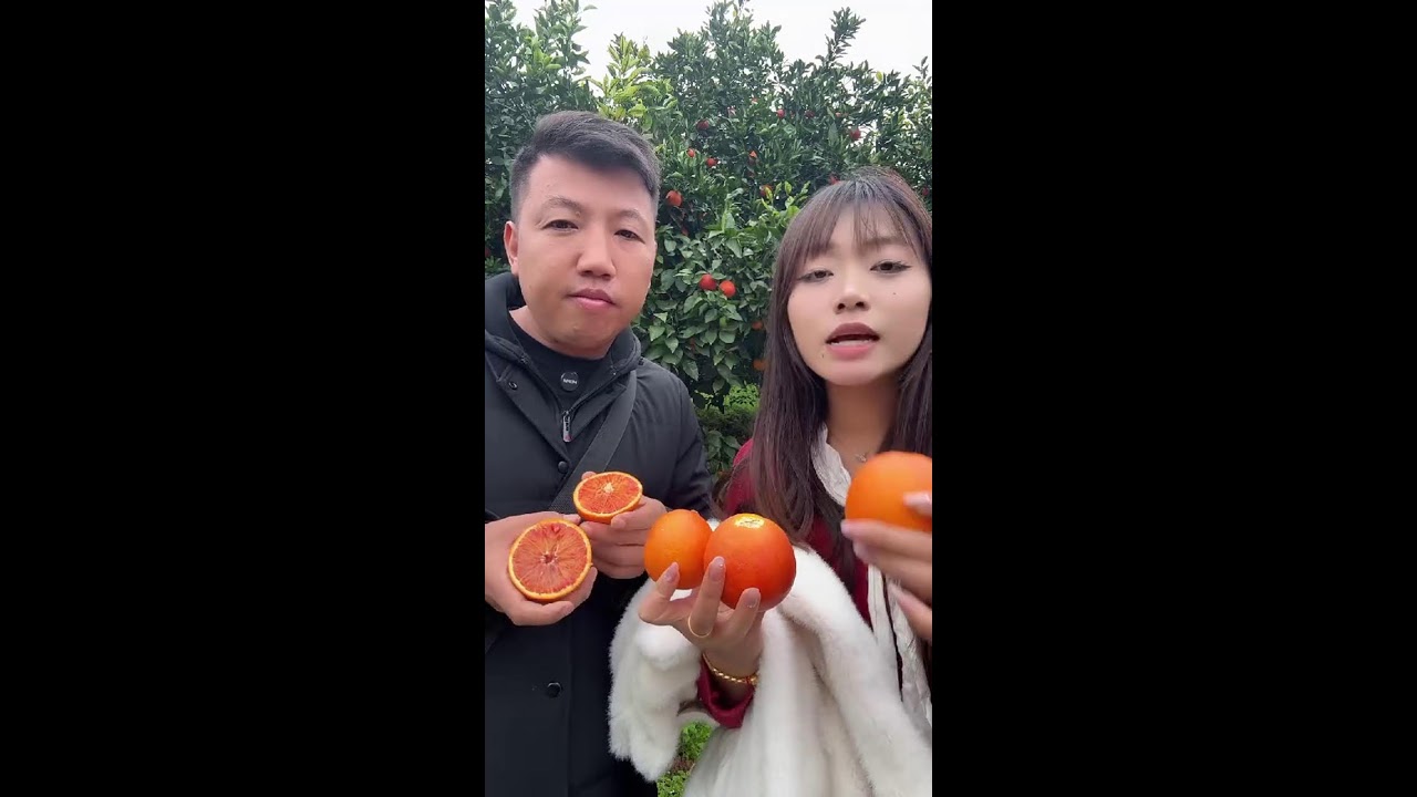 🔴【木工李哥在老挝】木工李哥帮哥哥在长寿湖助农卖血橙，下午上岛看采摘现场   2026-03-19 15:00:24