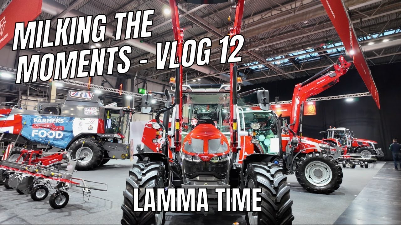 LAMMA 2025