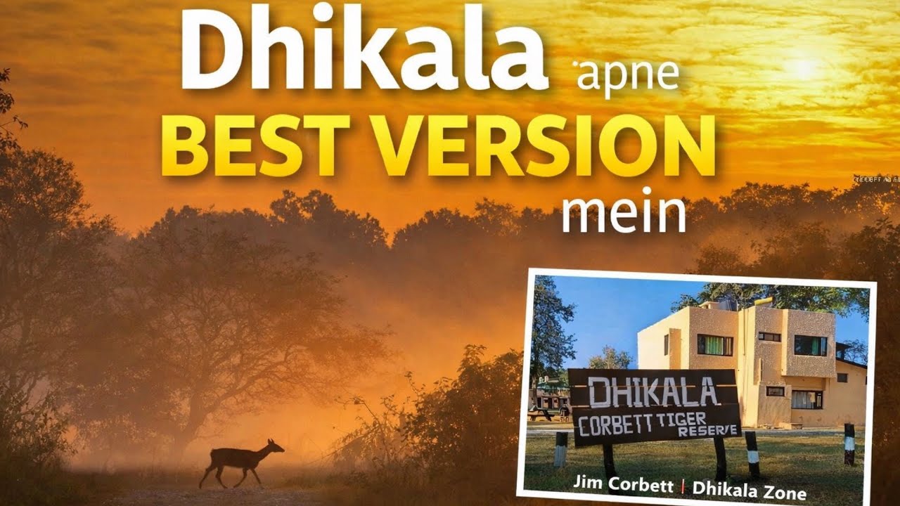 ढिकाला का बेस्ट नज़ारा Jim Corbett 