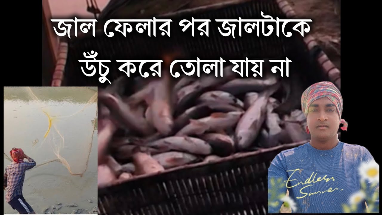 পুকুরে জাল ফেলে মাছ ধরছি #youtube #viral #fishing #youtbvideo