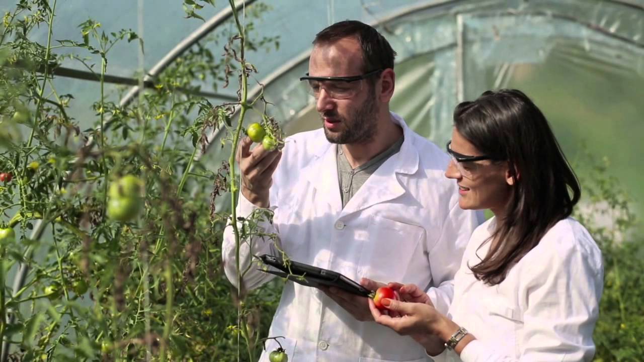 Day in the LIfe of FDA Food Scientist Cory Bryant