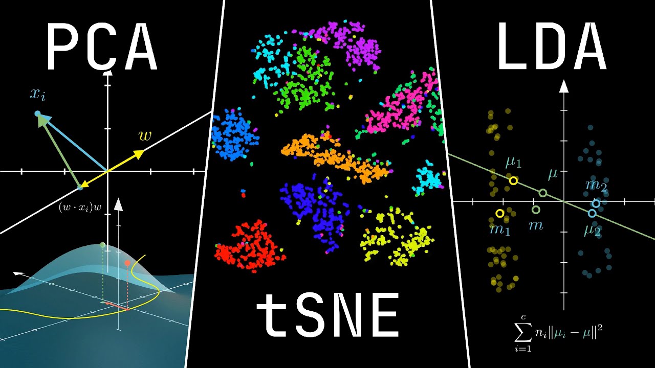 Breaking the Curse of Dimensionality (#SoME4)