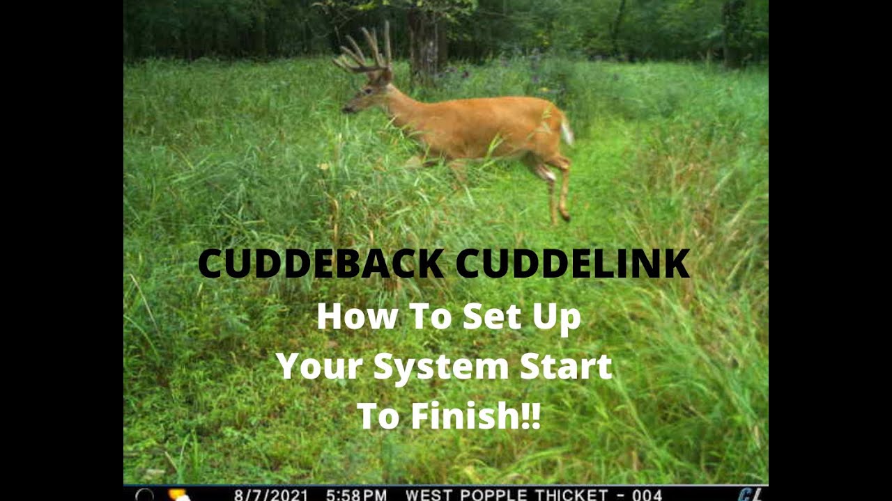 Cuddeback Cuddelink | How To Set Up Your System Start To Finish | Full Tutorial