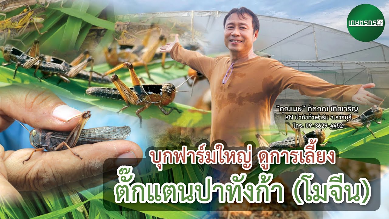 บุกฟาร์มใหญ่ ดูการเลี้ยง 