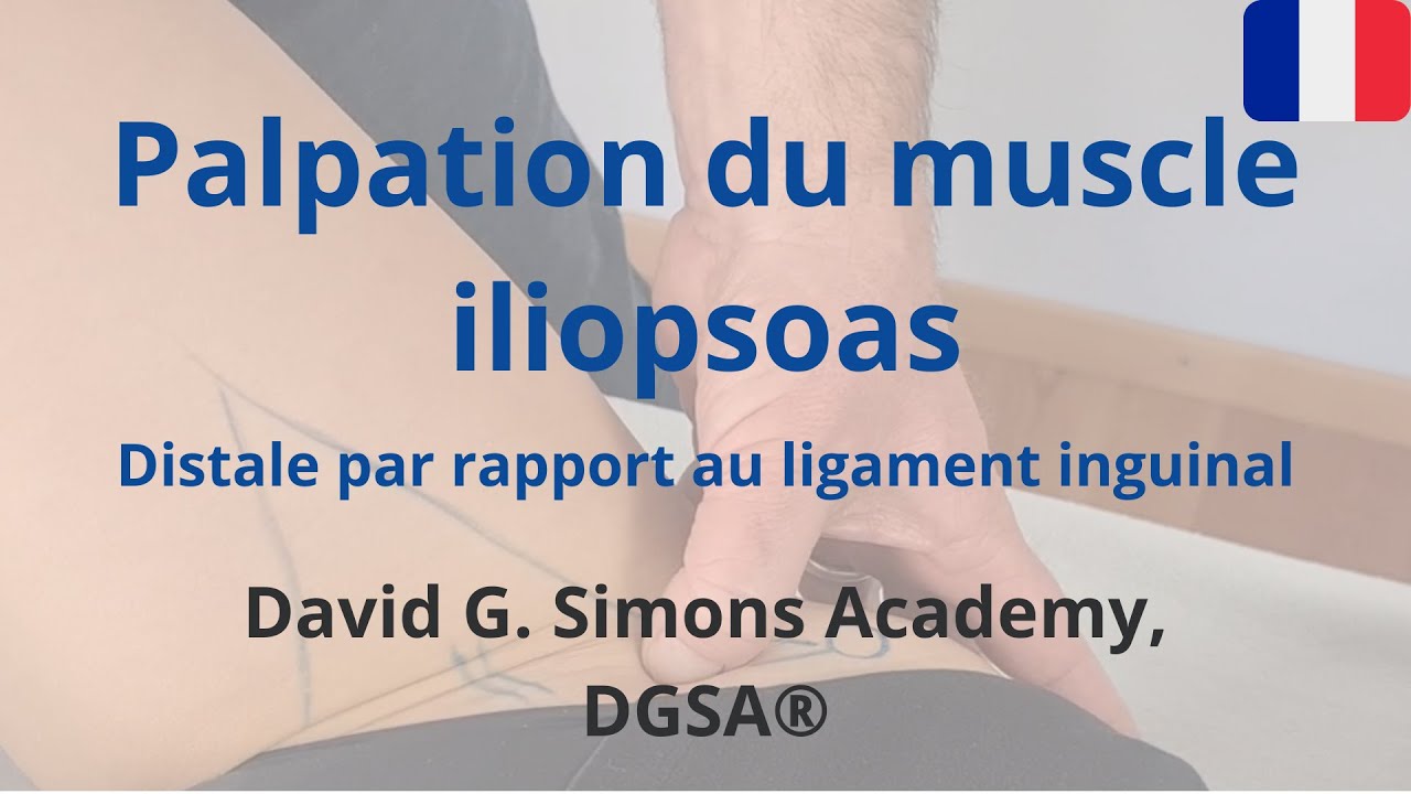 Palpation du muscle iliopsoas - distale par rapport au ligament inguinal