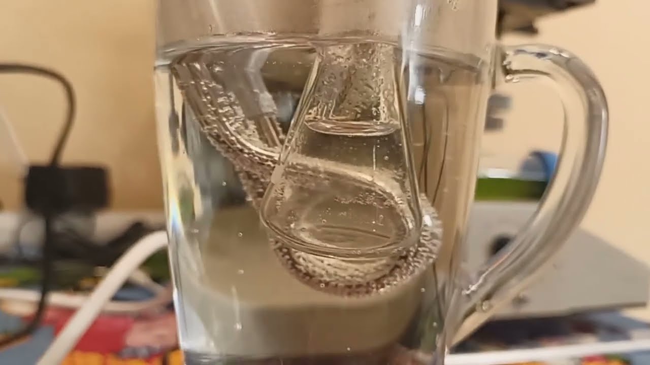 Иммобилизация микроводорослей -1. Матчасть и поиск рабочей температуры