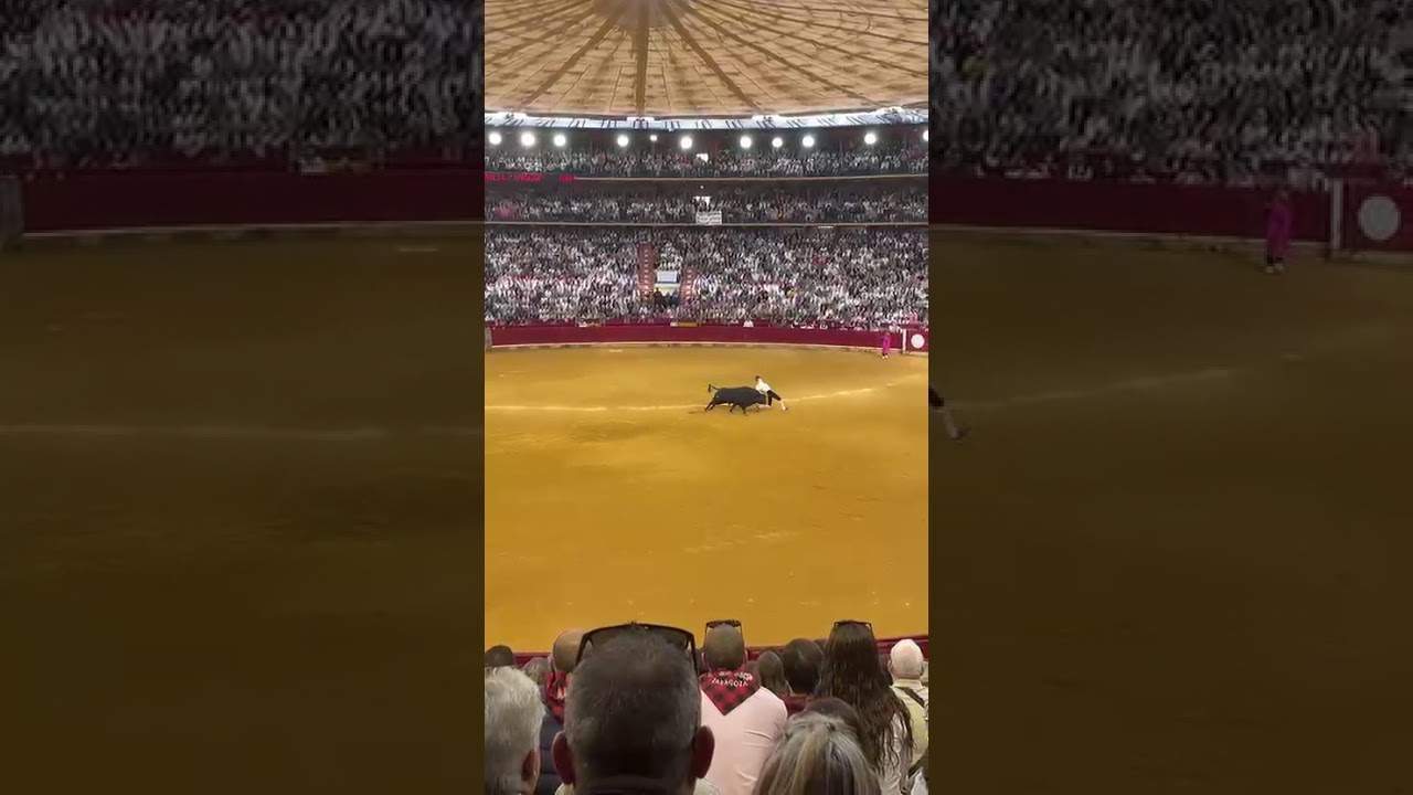 😍 Doblando RI&Ntilde;&Oacute;N en el CORTE al TORO en Zaragoza!