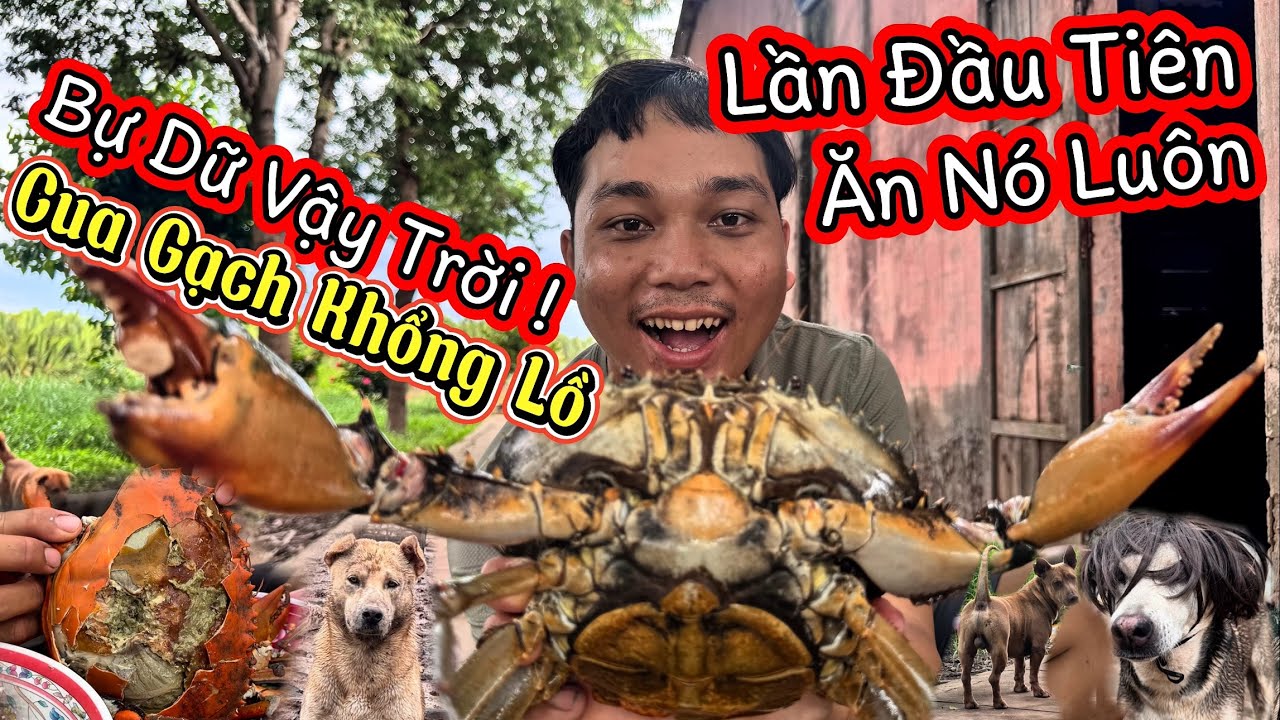 Lần Đầu Tiên Trong Đời Tâm Được Ăn Con Cua Gạch Bự Như Thế Này - Chia Sẽ Thật Về Lần Ăn Cua Khủng
