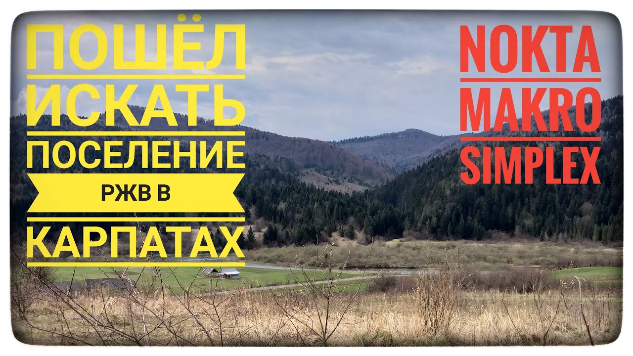 Коп в Карпатах. Пошел искать на поселение РЖВ. Заодно и разведали лес. Nokta Makro Simplex. Коп
