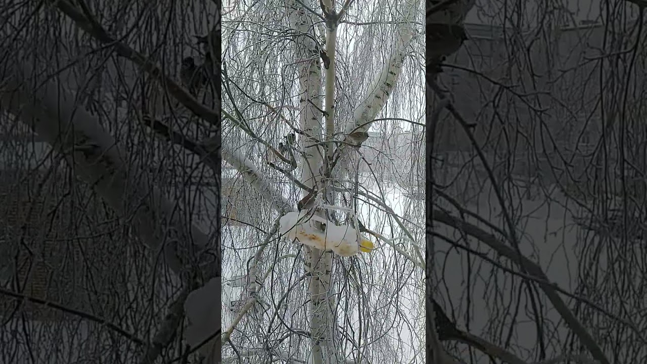Релакс...можно смотреть часами