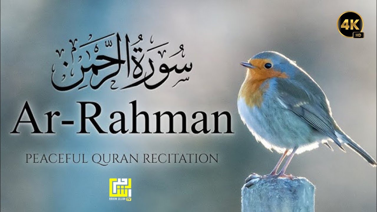 Surah Ar-Rahman Beautiful Recitation | Heart Touching Quran Tilawat | Rahimullah TV Noor