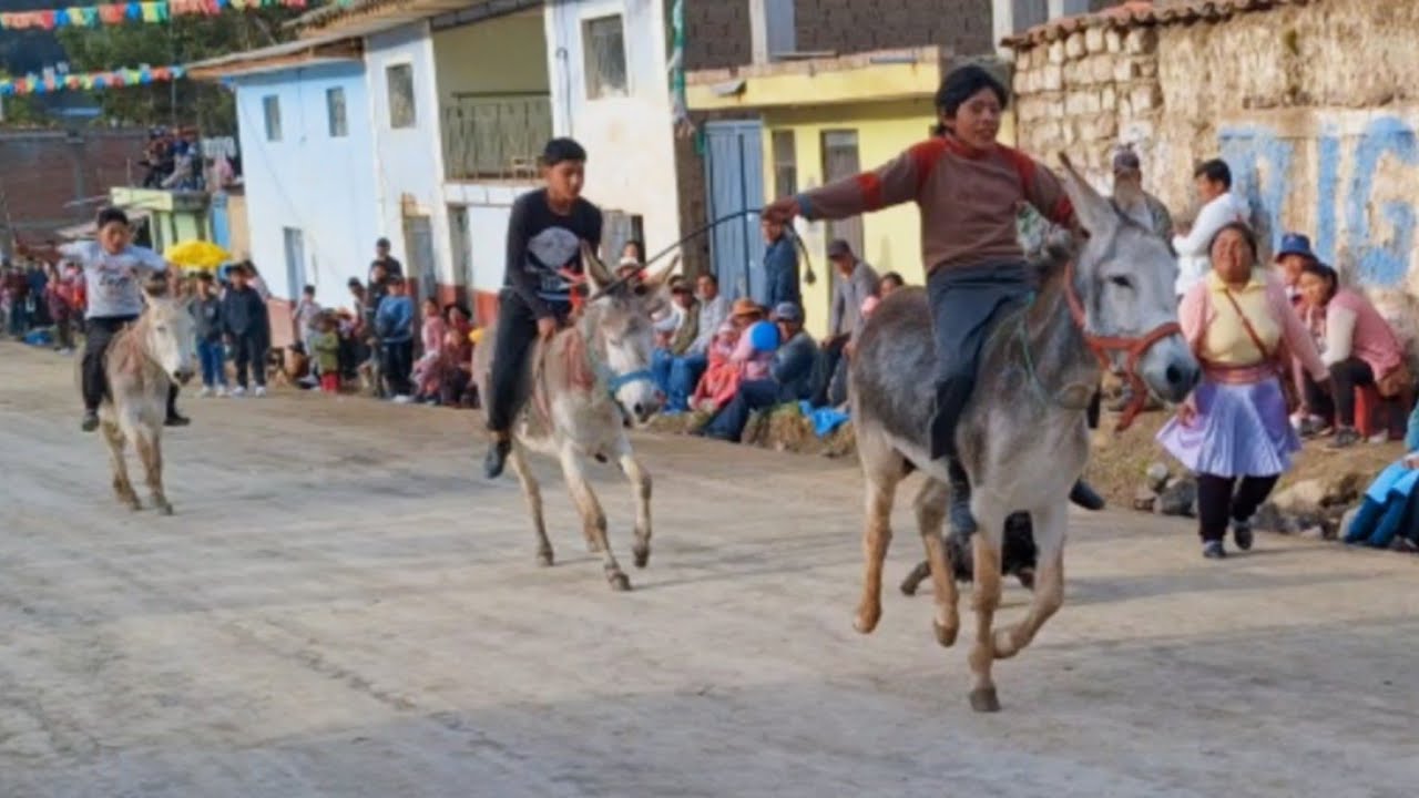 GRAN CARRERA de BURROS 2025 en Huancavelica PERÚ #tayacaja #huancavelica
