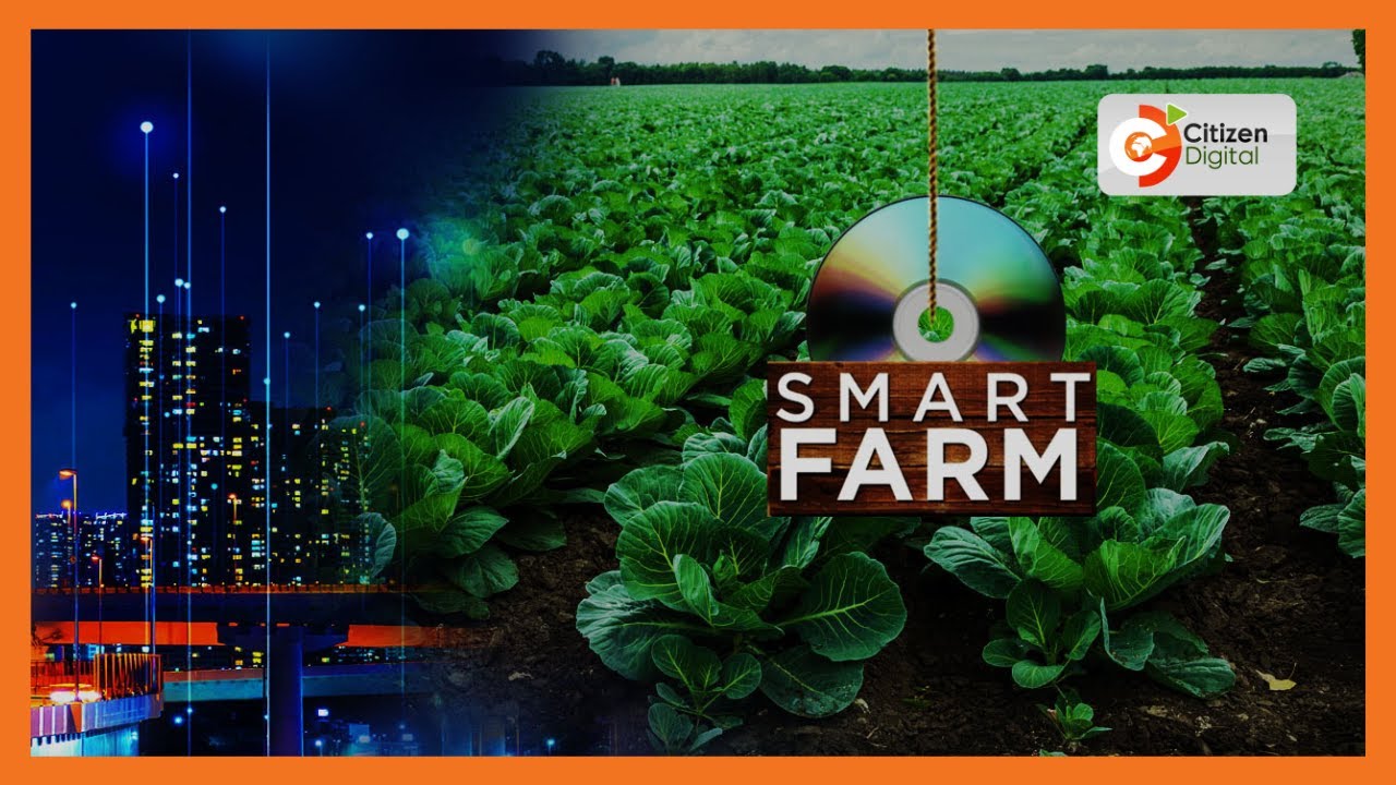Smart Farm: Regenerative agriculture in Kitui County