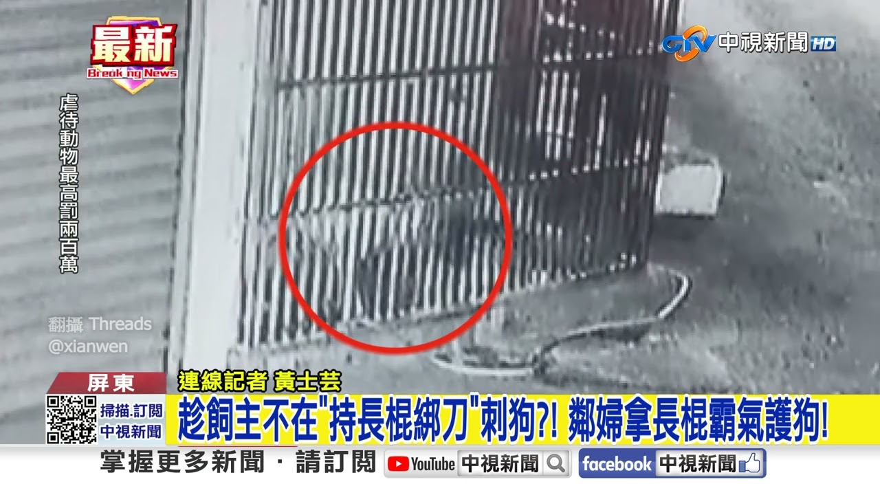 趁飼主不在