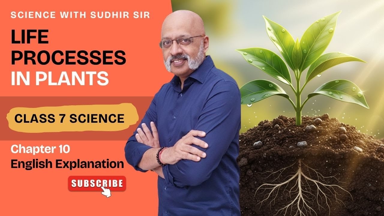 Life Processes in Plants (English Explanation) | Class 7 Science Curiosity Chapter 10 #kvs #nvs