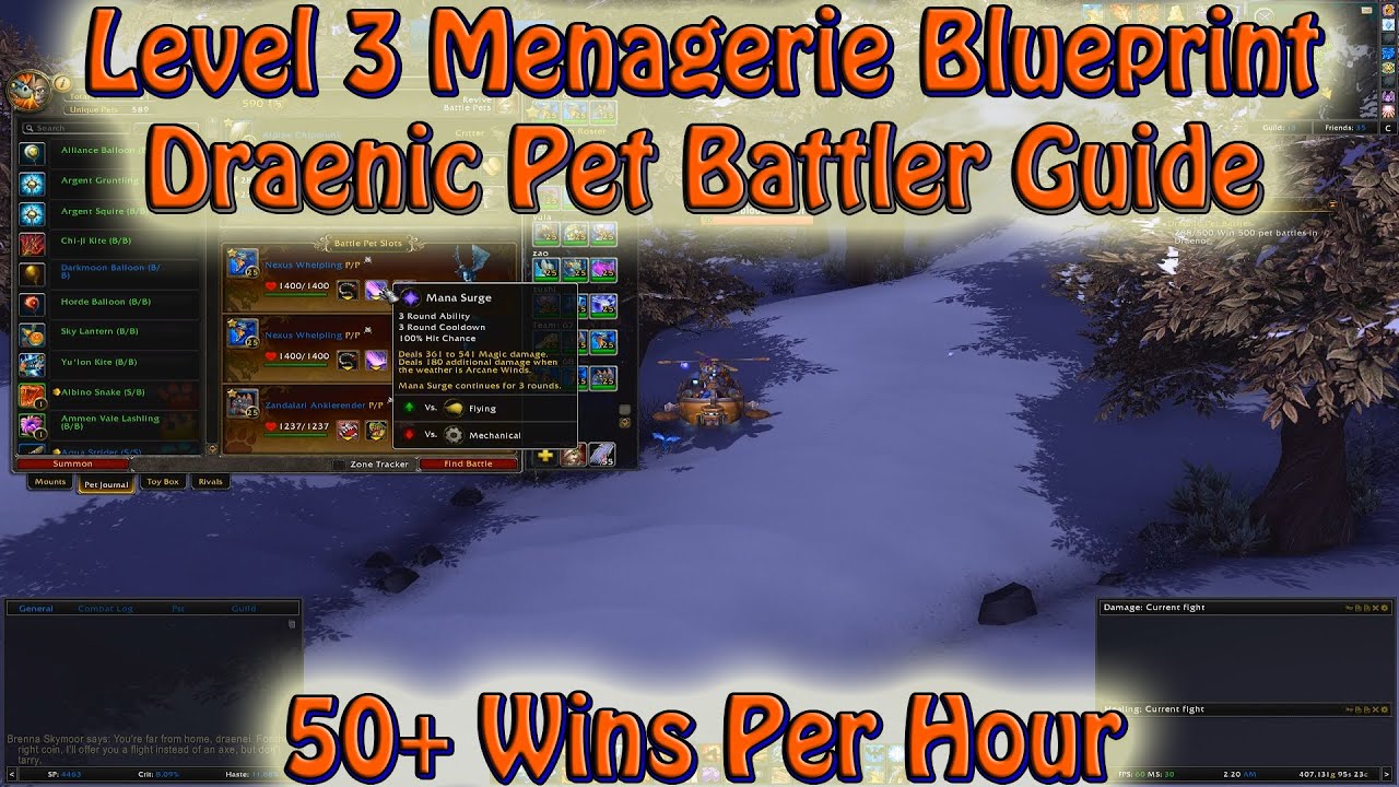 Draenic Pet Battler / Level 3 Menagerie Blueprint Guide, 50+ wins per hour