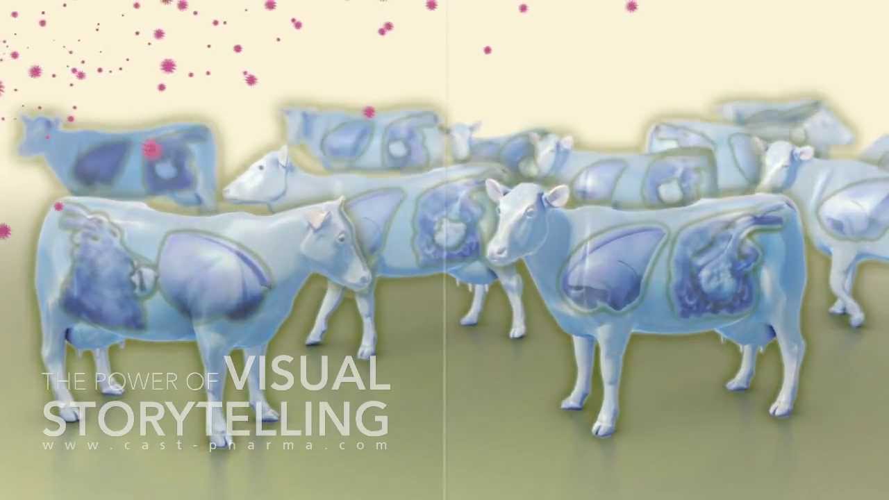 Bovine Viral Diarrhea Mode of Action Animation