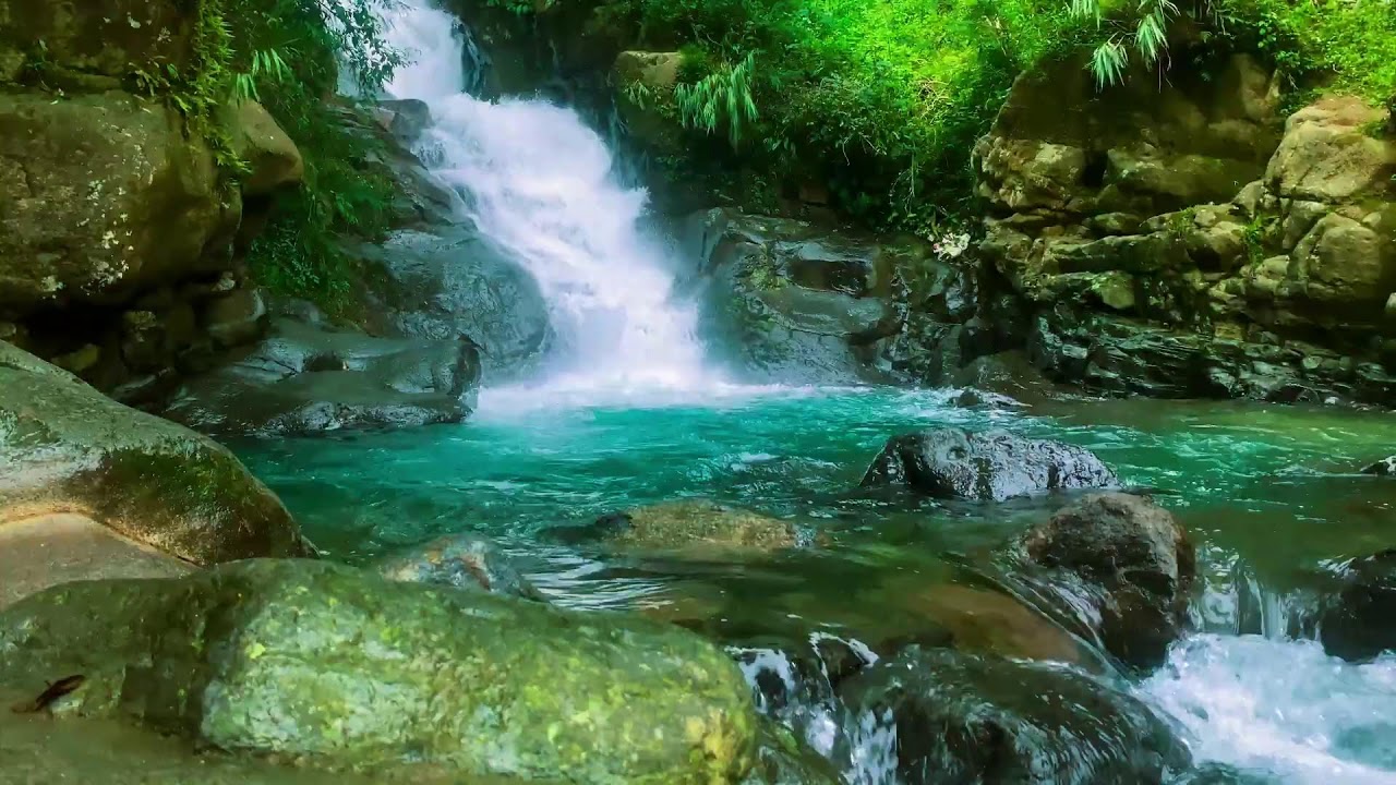 ТЫ УСНЕШЬ ЗА МИНУТЫ 💧 Кристально чистая река в глубине тропического леса — ASMR