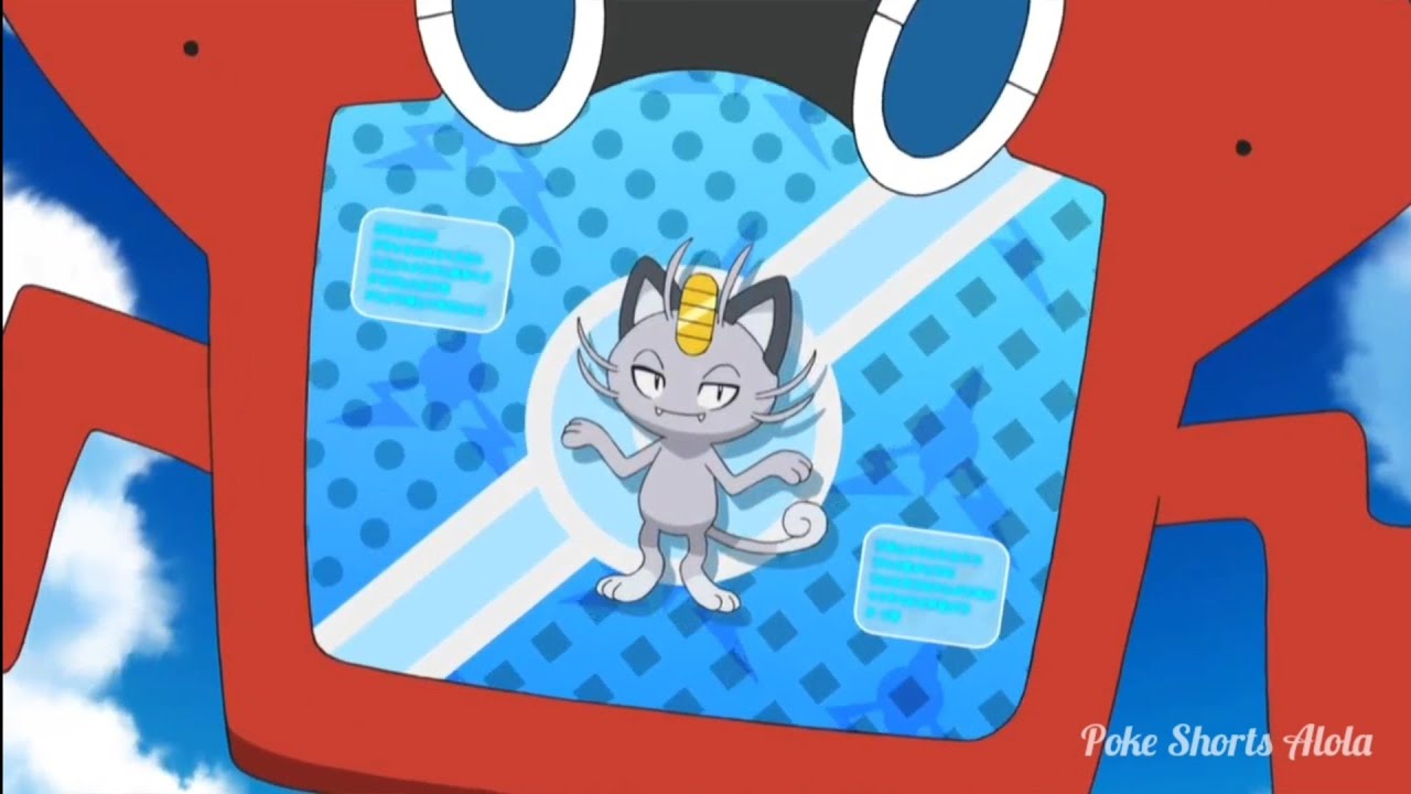 Meowth (Alola Form) Rotam-Dex Data