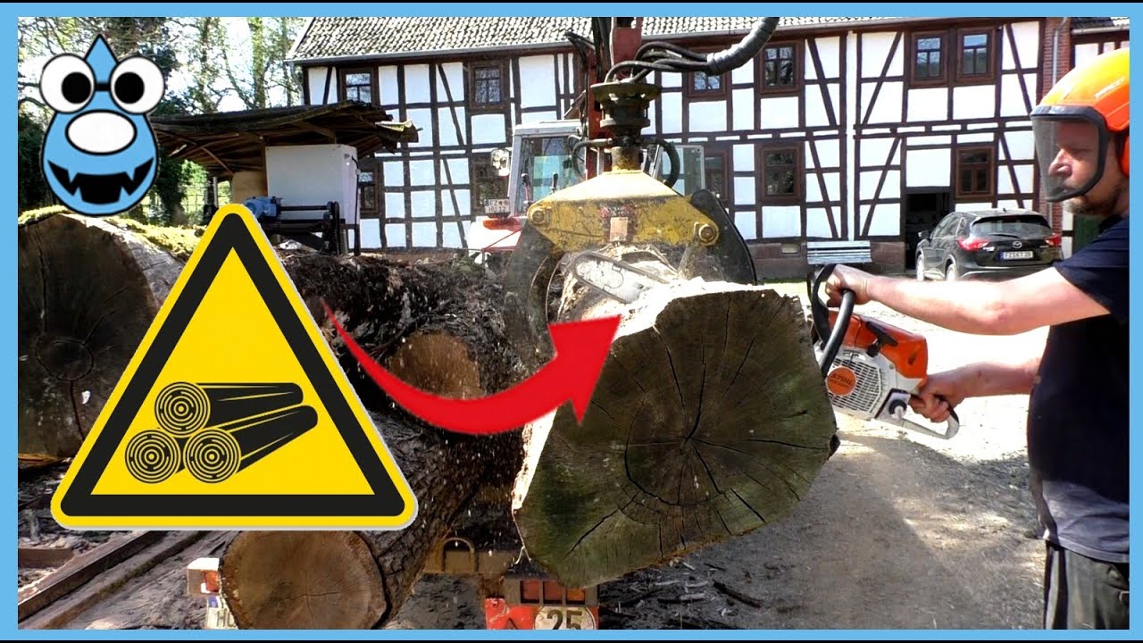 Gerinne Bauen 02: Eichendielen aus Stammholz sägen🪚Blockbandsäge mit Rückewagen beschicken🚜
