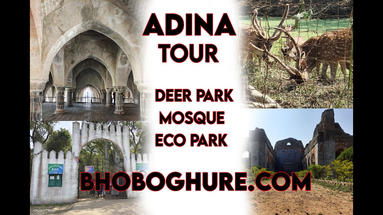 Adina Tour  l  First Malda Vlog  l  Bhoboghure.com
