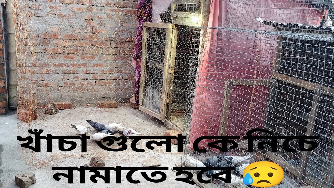 নিচে নামাতে হবে ❤️💯 8/2/2026॥