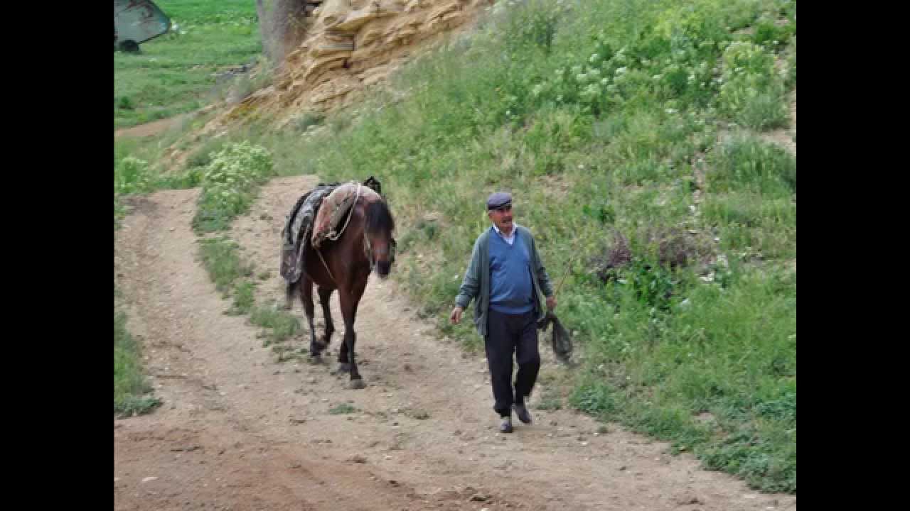 Aslı GÖK Kardeşimizden,