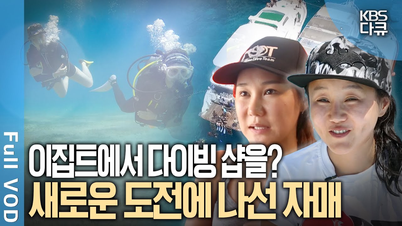 이집트에 다이빙 샵을, 탄자니아에 카센터를 창업한다? 해외에서 새로운 도전에 나선 대한민국 청년 | 글로벌 무대로 떠난 청년들 | KBS 20161211 방송