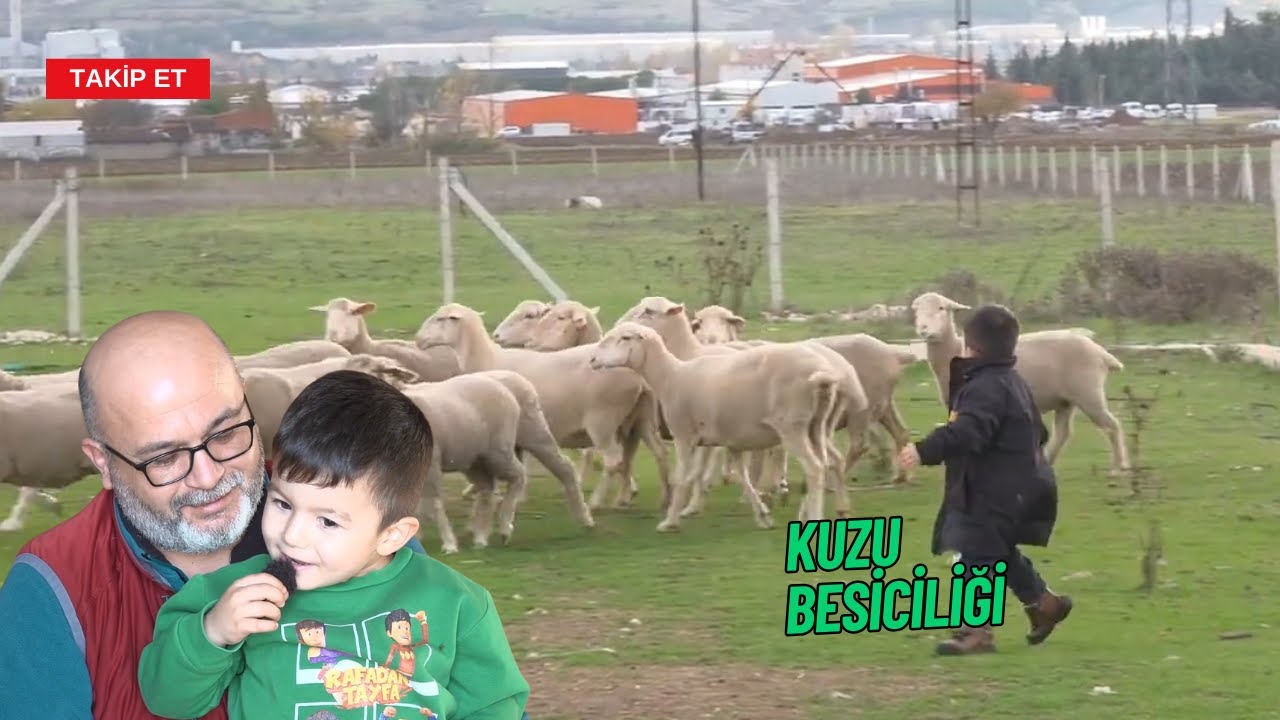KUZU BESİCİLİĞİNİN PÜF NOKTALARI I KÜÇÜKBAŞ SAATİ
