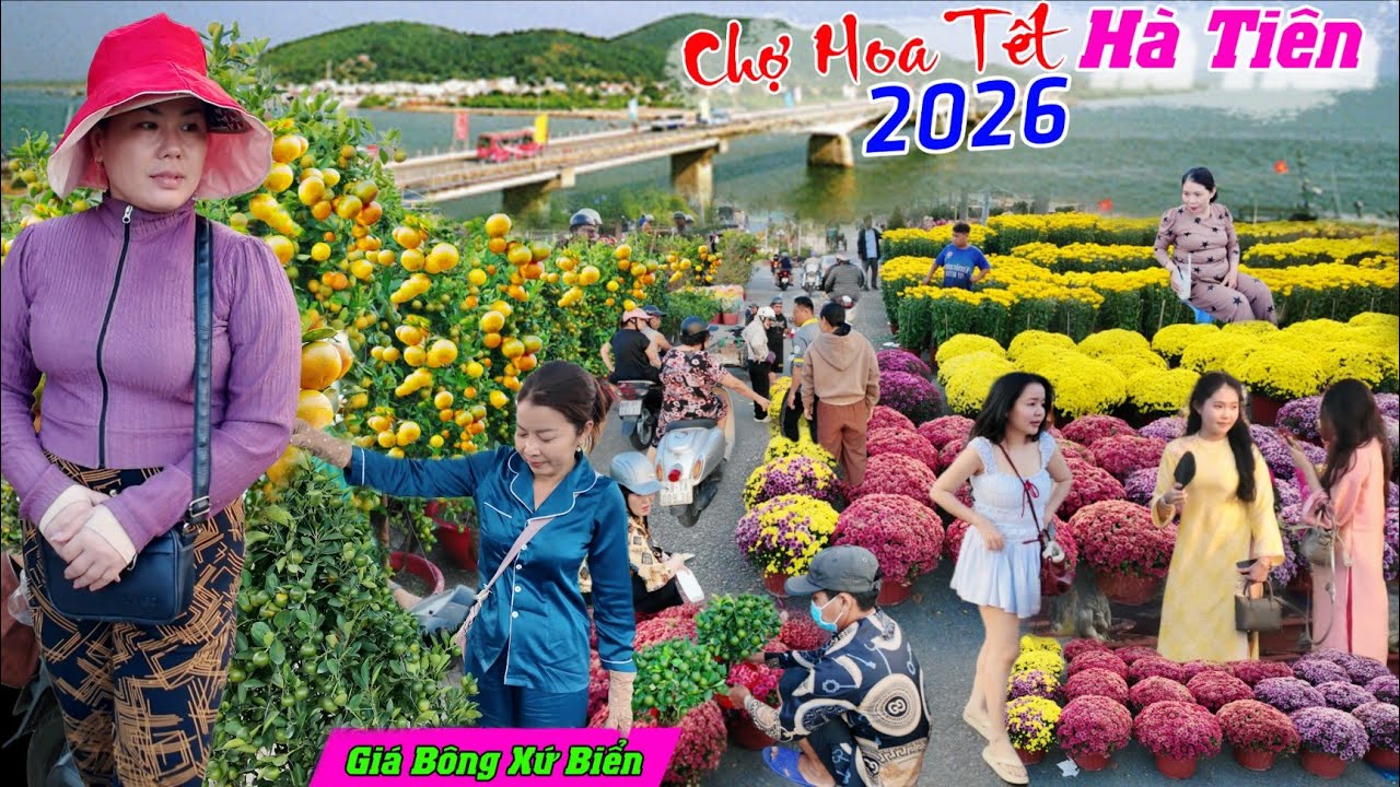 Chợ hoa tết Hà Tiên 2026 sa đéc bến tre kéo về bán bất ngờ giá bông xứ biển 