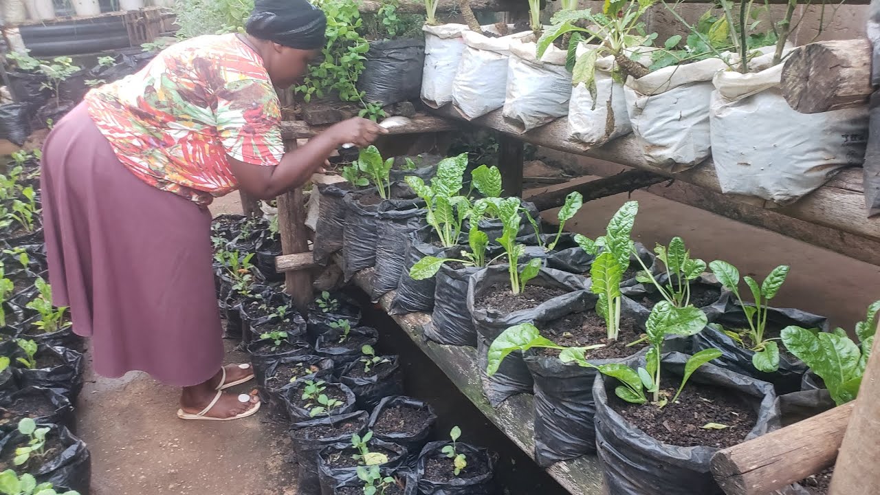 Grow Vegetables In Sacks.
