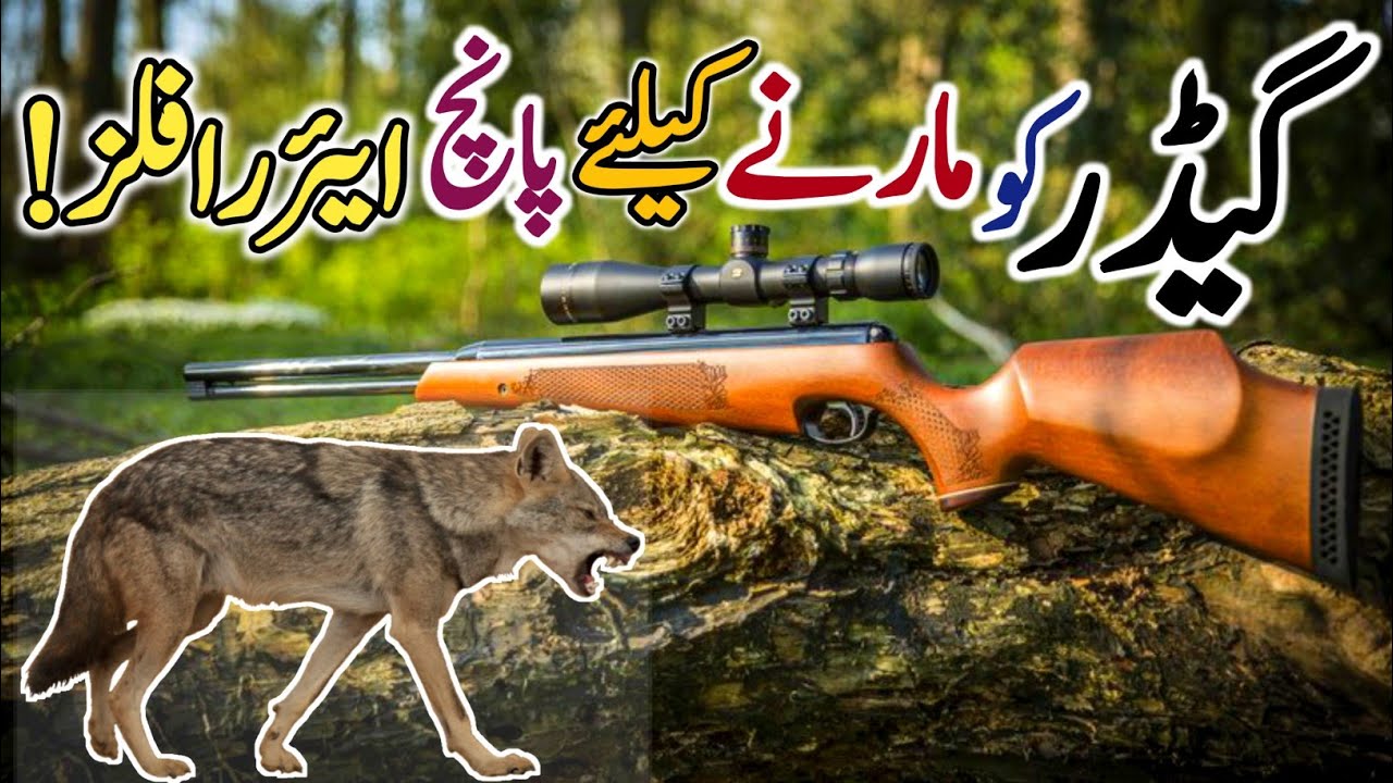 5 Best Air Rifles For Jackal Shooting|Geedar Marne Ke Liye 5 Behtareen Airguns|AirHunter PK