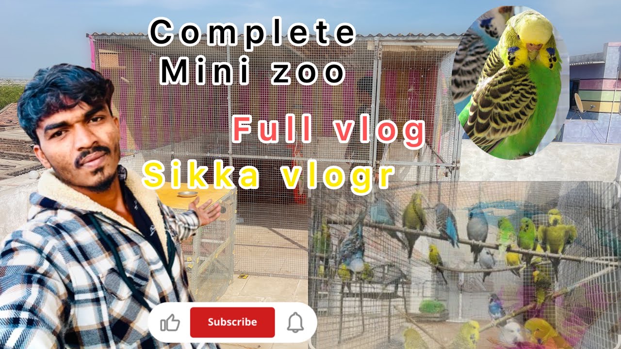 Sikka mini zoo Sikka vlogr