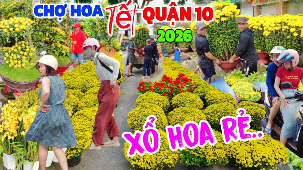 XỔ HOA RẺ kẹt cứng Quận 10 chợ hoa Tết Sài Gòn 2026/ Vỡ trận khu Mai Vàng giá Rẻ