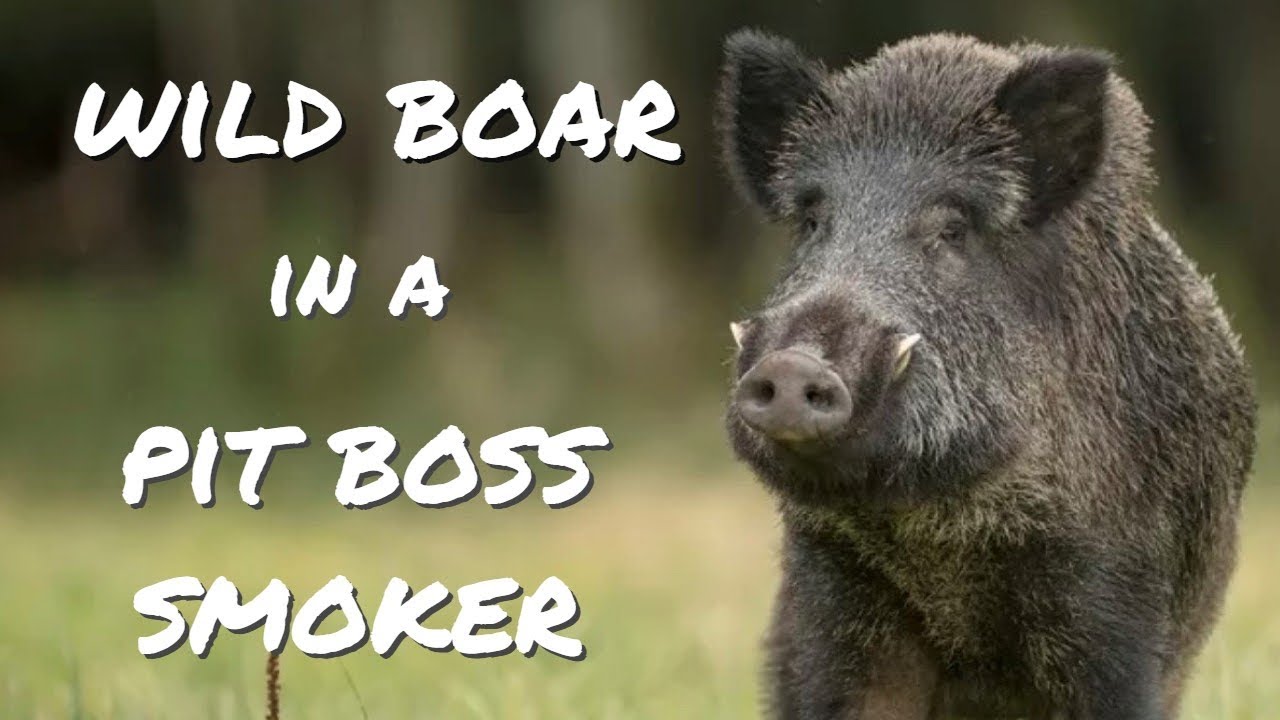 Wild Boar in a Pit Boss Smoker