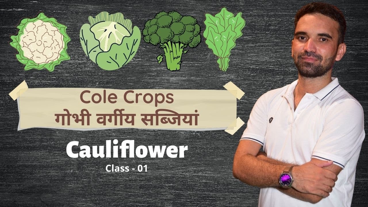Cole Crops/गोभी वर्गीय सब्जियां || Cauliflower/ फूलगोभी || Class - 01