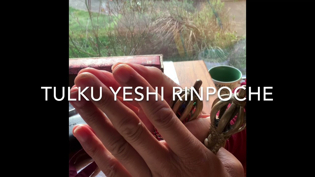 Eight and Five Offering Mudras from Tibetan Vajrayana Buddhism by Tulku Yeshi Rinpoche