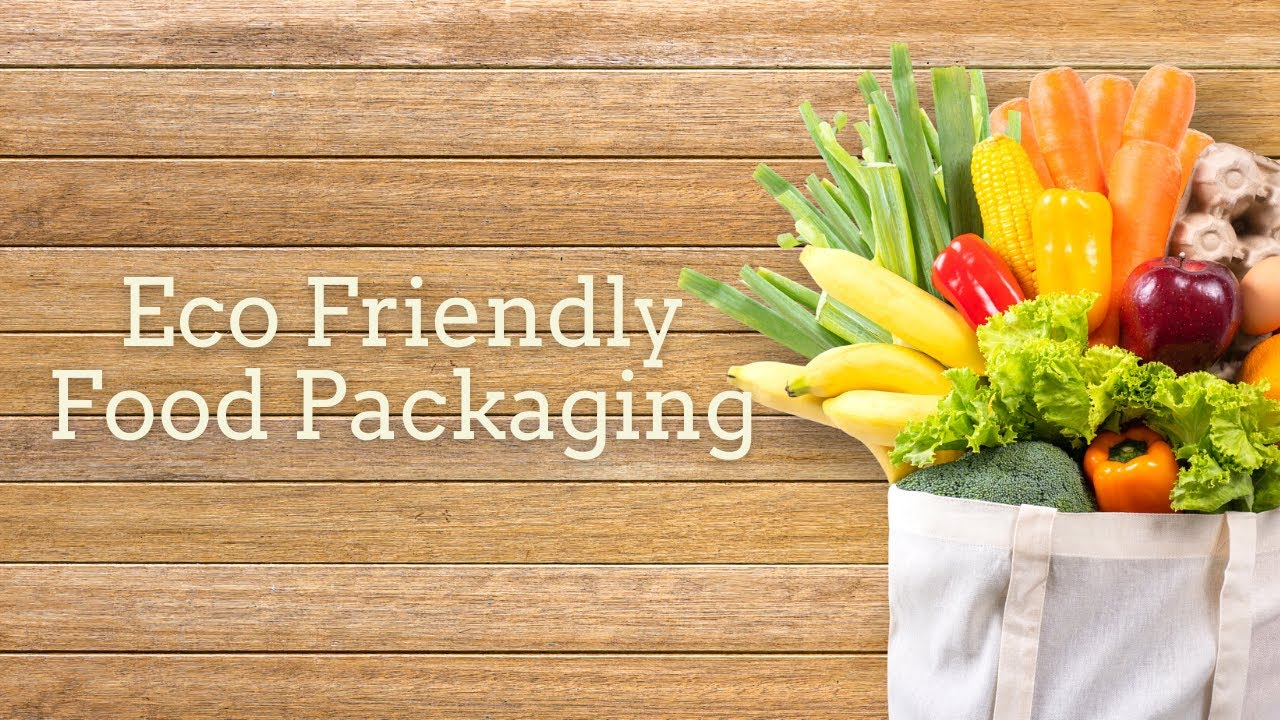 Eco-friendly food packaging ideas, materials, tips and lifestyle