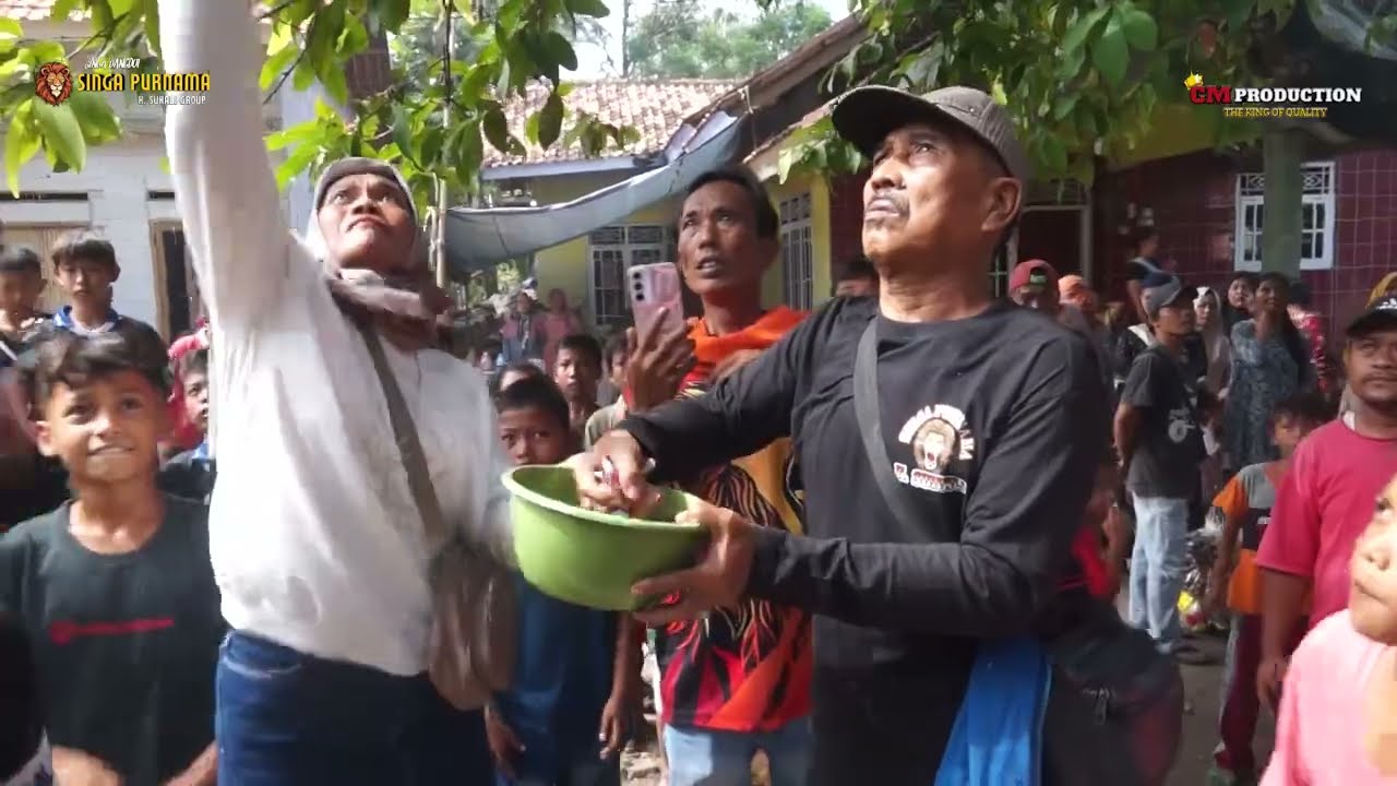 PENGANTEN BARU - VOC. DEDE ANISA - SINGA DANGDUT - SINGA PURNAMA - H. SUHALI GROUP - BELENDUNG