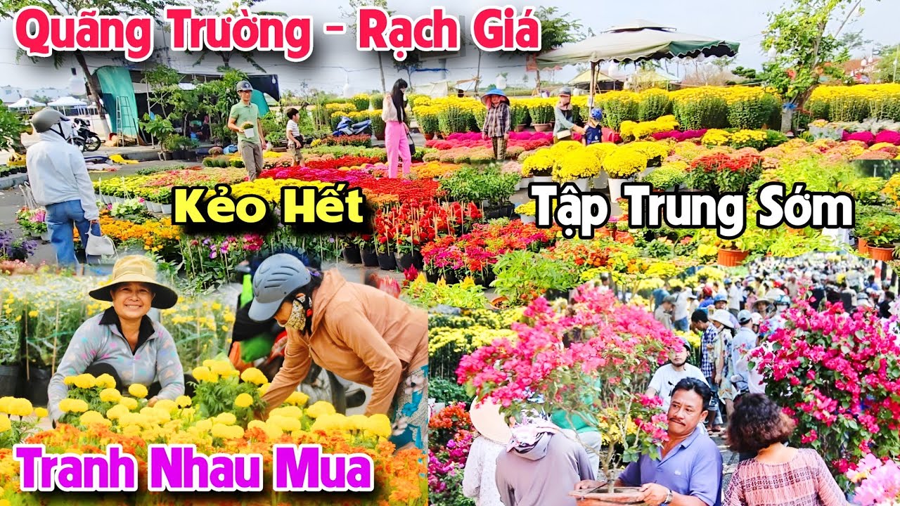 Hội Hoa Xuân tại Quảng trường Rạch Giá gây bất ngờ khi bà con nô nức đến sớm để lựa chọn và mua hoa.
