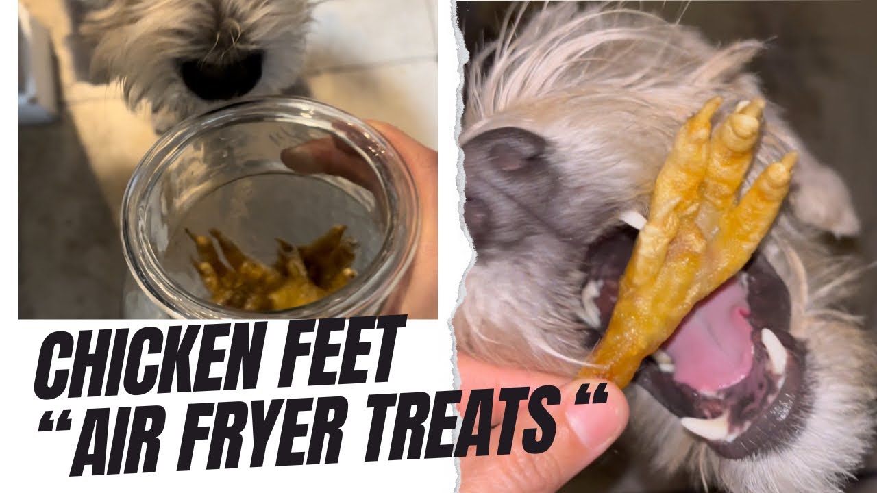 Boost Your Dog's Health with Collagen-Rich Chicken Feet Treats Air-fryer edition