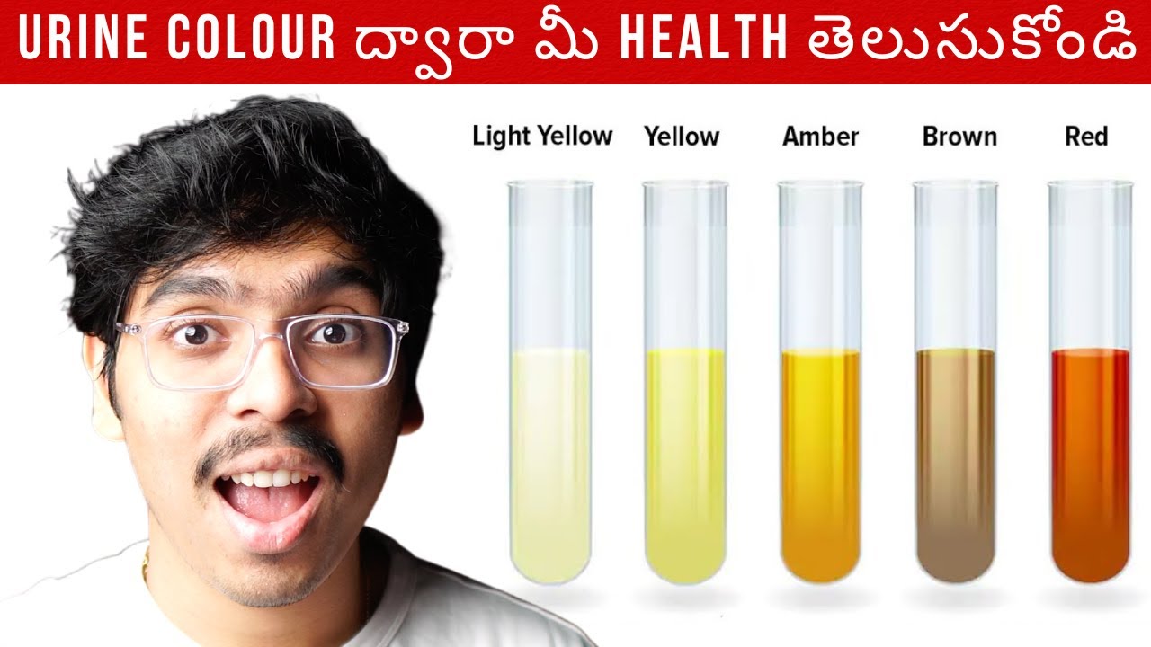 What Your Urine Colour Says About Your Health | Urine Colour ద్వారా మీ Health తెలుసుకోండి