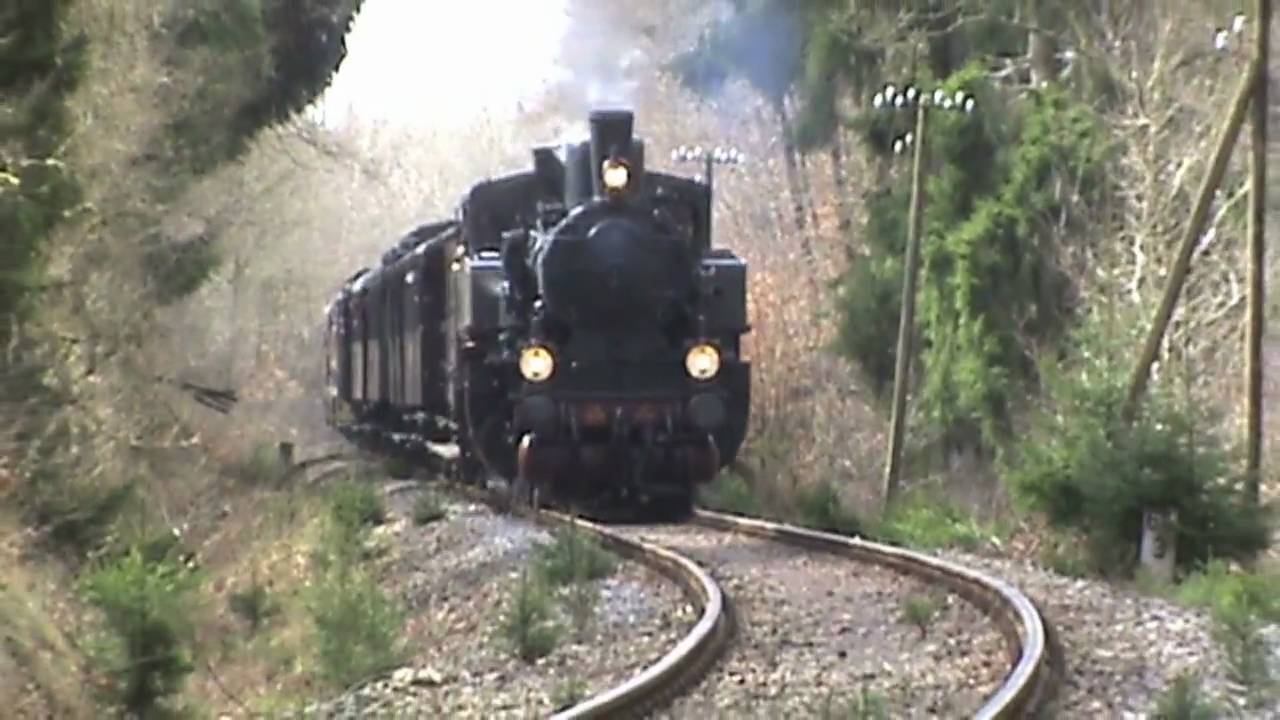Dampfspektakel 2010 Plandampf Utzerath Eifelquerbahn BR52, Pr T11, V60, V100, Schienenbus