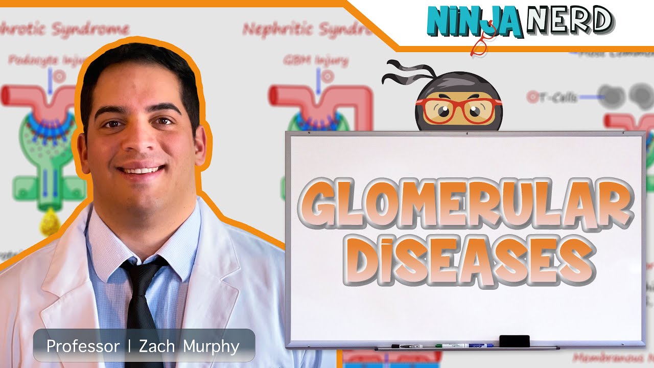 Glomerular Diseases | Clinical Medicine