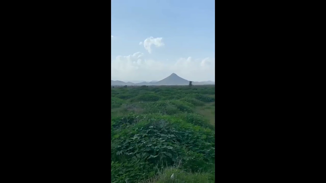 قصة الجنية التي تزوجت انسي